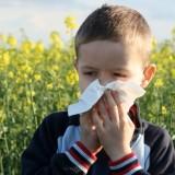 allergie pollini polvere muffe