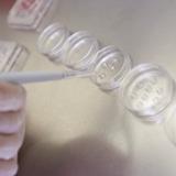 Escherichia coli batterio aggressivo contaminazione cibi