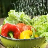 cibi freschi igiene innfezioni contaminazioni caldo germi