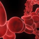 talassemia globuli rossi