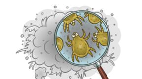 allergie pollini autunno acari Parietaria rinite congiuntivite