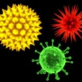 papillomavirus vaccino tumore della cervice