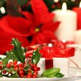 candele, bacche, muschio, alberi di Natale, intossicazione, soffocamento, dolori addominali, vomito, aritmie, crisi convulsive.