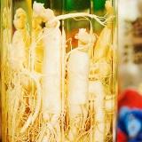 , ginkgo, ginger, Serenoa repens (palma nana), cromo, cinnamomo, Sanguinaria canadensis, tè verde, biancospino, maté, interazioni