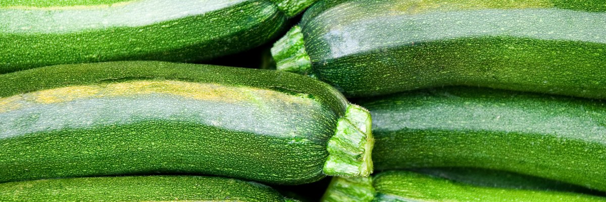 Le zucchine, un ortaggio anti stanchezza per tutti