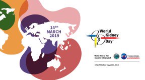Giornata mondiale del rene. Un organo da tenere d’occhio