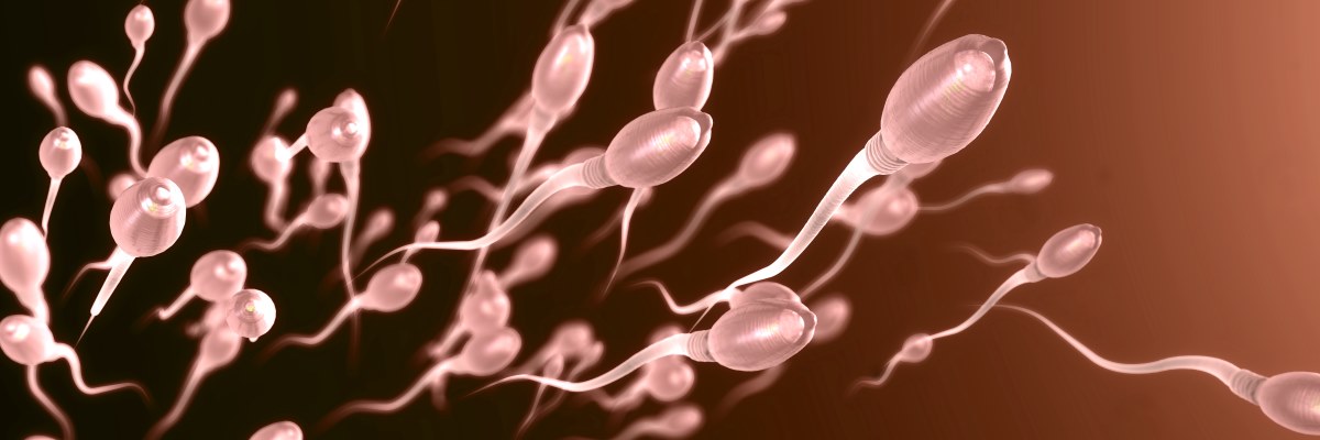 Spermiogramma: esame sentinella per la salute dell’uomo 