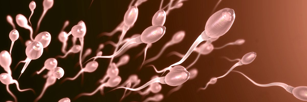 Fertilità maschile: il microbiota seminale influenza la motilità degli spermatozoi?