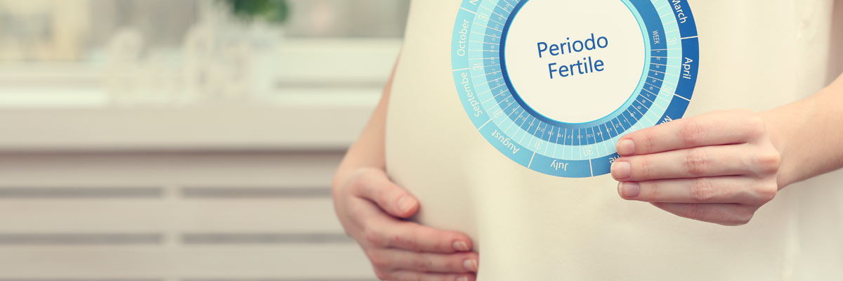Calcola il periodo fertile