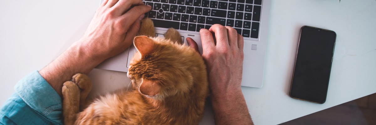 Smart working: come riconoscere i segnali di stress