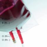 emofilia coagulazione sangue erditarietà malattia rara