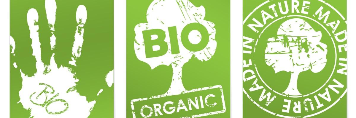 Cibo biologico: è davvero migliore per la salute? La parola agli esperti