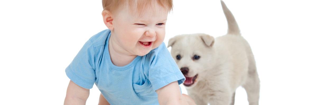 Crescere con un animale domestico tiene lontano allergie e obesità