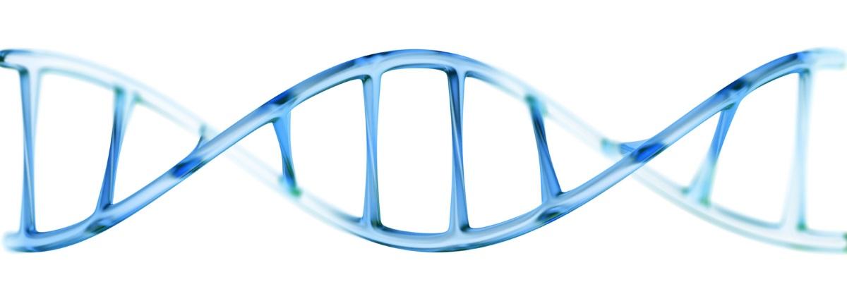 Геном белого человека. ДНК на белом фоне. Синее ДНК. Ген ДНК на белом фоне. ДНК на прозрачном фоне.