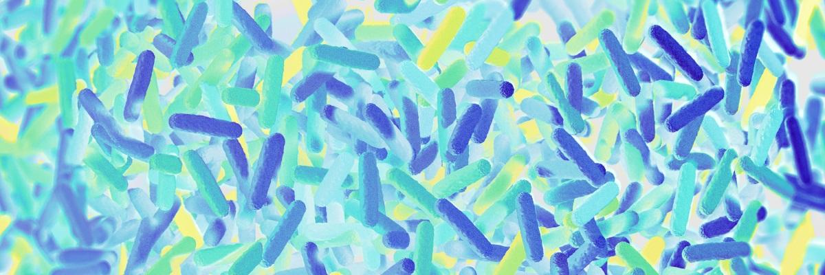 Il ruolo della flora batterica intestinale nella sclerosi multipla 