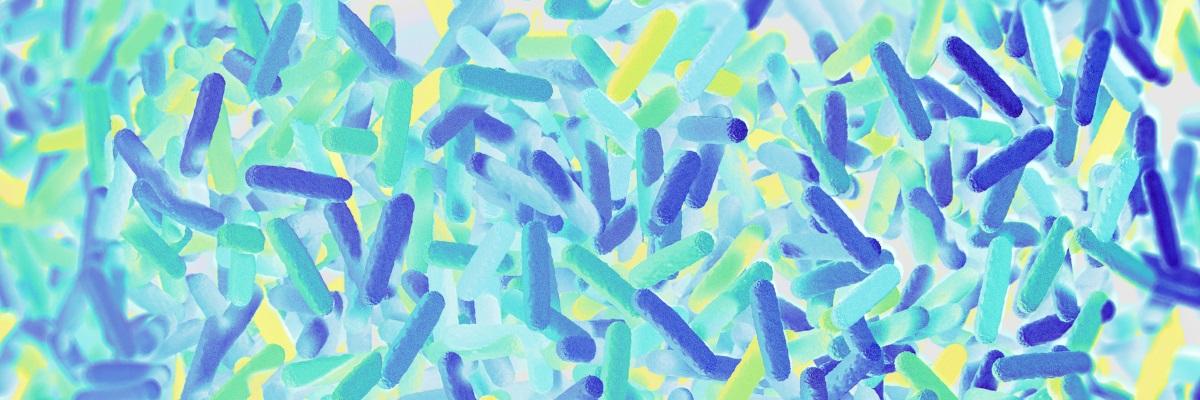 Il ruolo della flora batterica intestinale nella sclerosi multipla