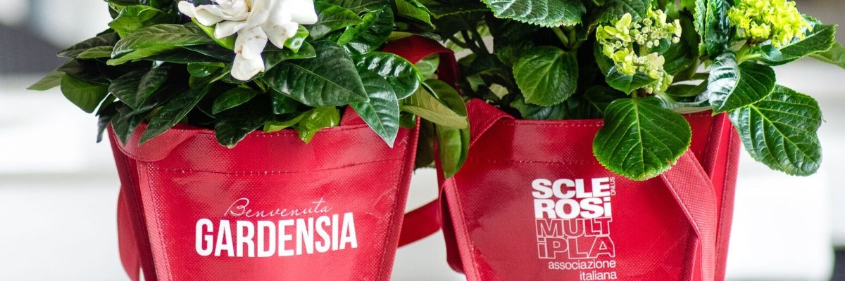 Due fiori per la Sclerosi Multipla