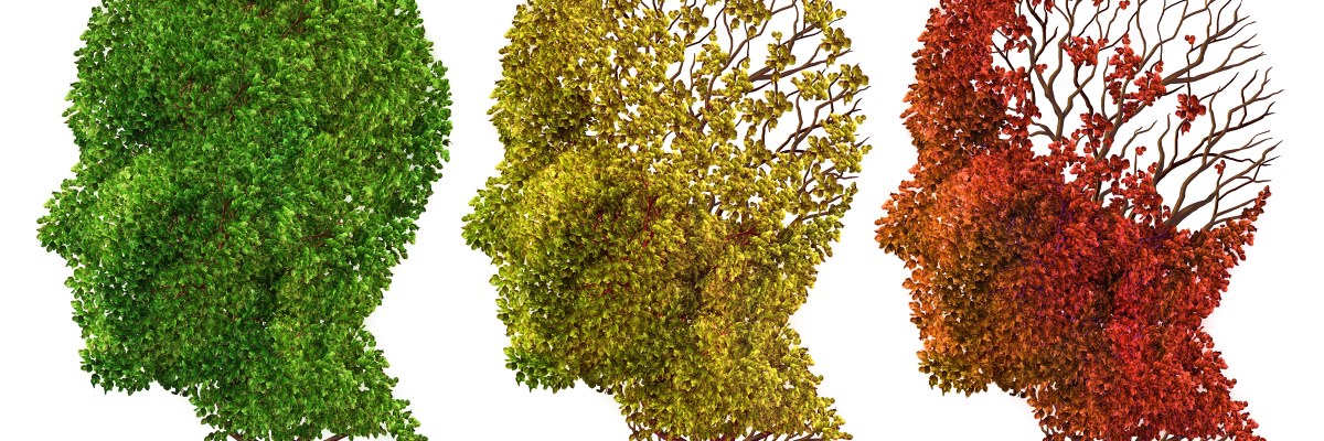 I fattori di rischio della malattia di Alzheimer