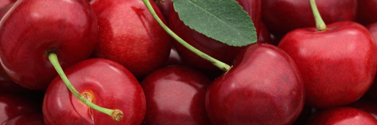 Ciliegie, un frutto dalle molte proprietà