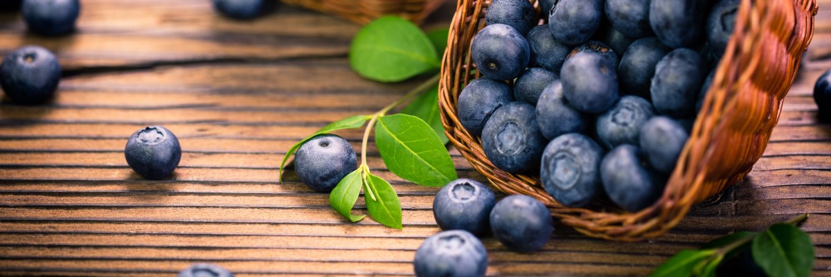 Mirtilli: le bacche superfood