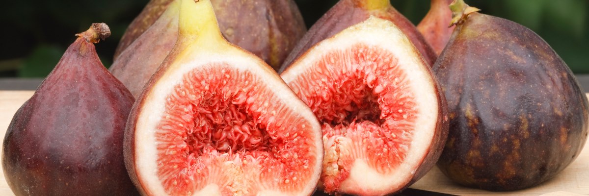 I fichi: fibre e mucillagini anti stitichezza