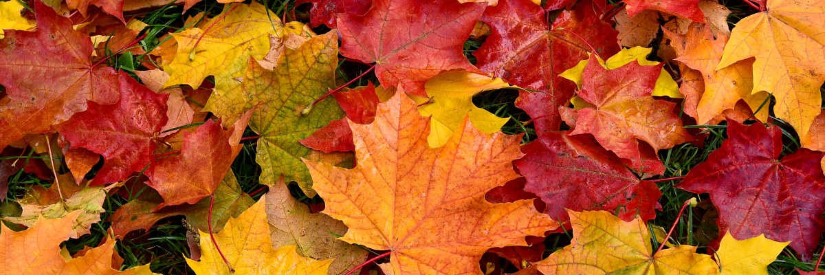 Sonno, attività fisica e buona alimentazione per affrontare l’autunno  