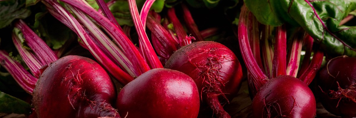 La barbabietola rossa, ricca di proprietà benefiche