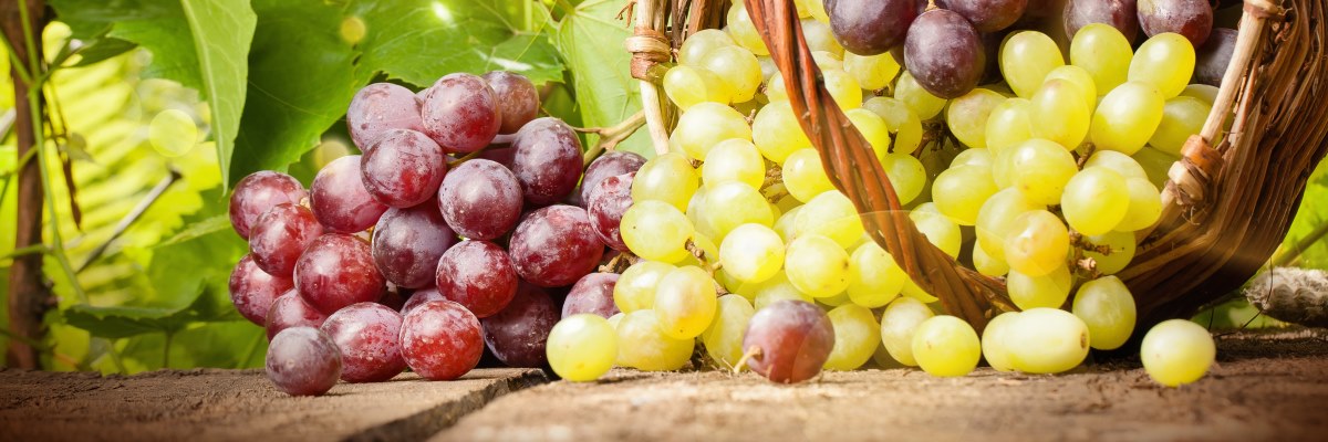 Mangia uva rossa e proteggi le arterie