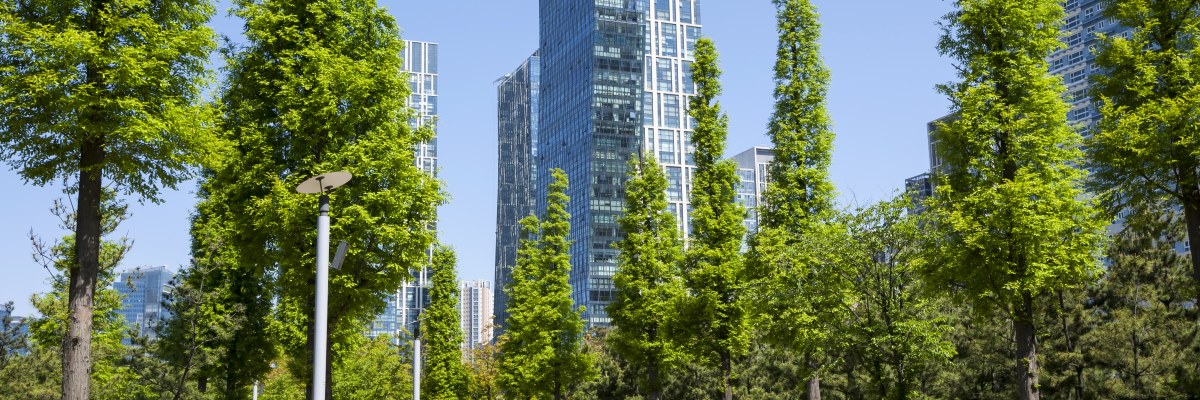 Il verde urbano migliora la salute dei cittadini: intervista a Stefano Boeri