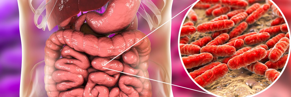 Probiotici e sintomi ansiogeni. Nuove prospettive terapeutiche?