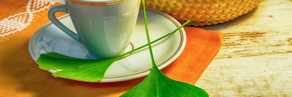 Tutti i benefici del Ginkgo biloba, la pianta di lunga vita
