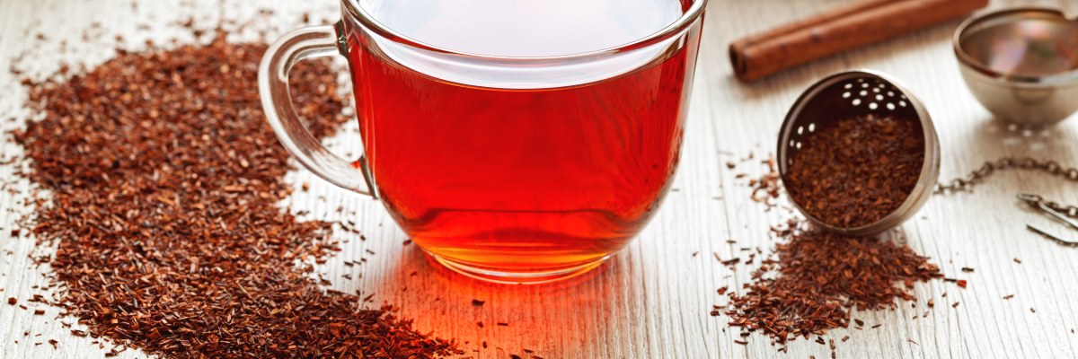 Che cos’è e a cosa serve il Rooibos, elisir di lunga vita