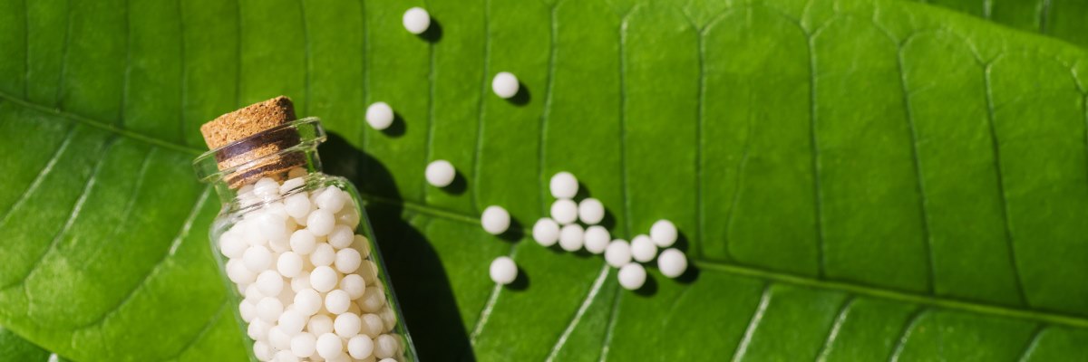 Robinia Pseudo-acacia, un aiuto per il sistema gastroenterico