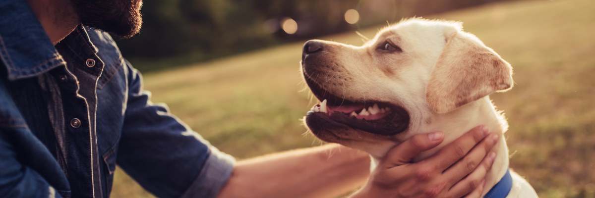 La pet therapy fa bene. Intervista ad Aldo La Spina, educatore cinofilo