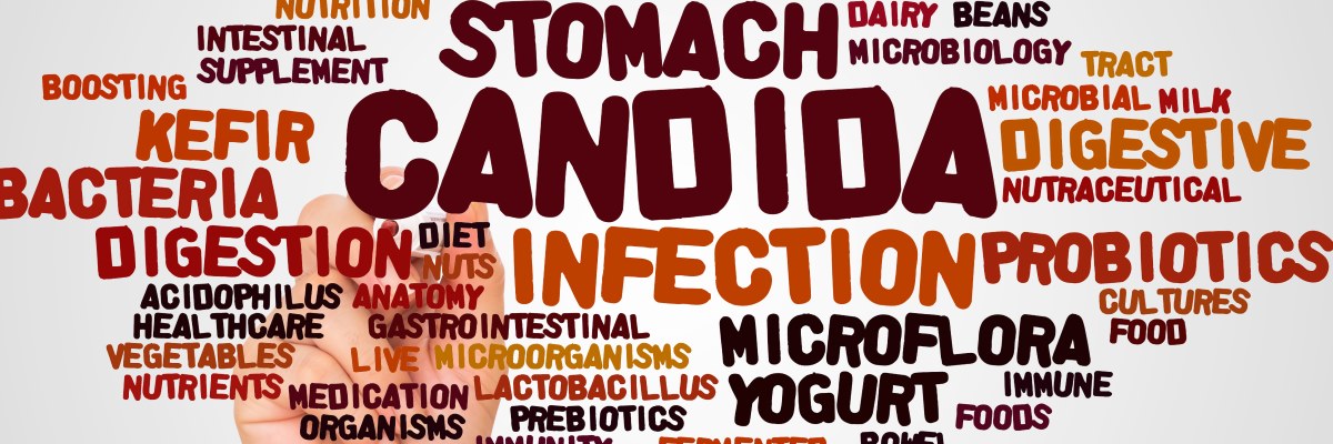 Candida, dal mirto effetto antimicrobico