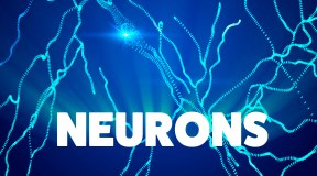 Malattie neurodegenerative: impianto a impulsi elettrici per ipotensione ortostatica