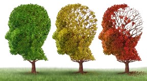 Uno stile di vita sano prolunga la vita e allontana l'Alzheimer