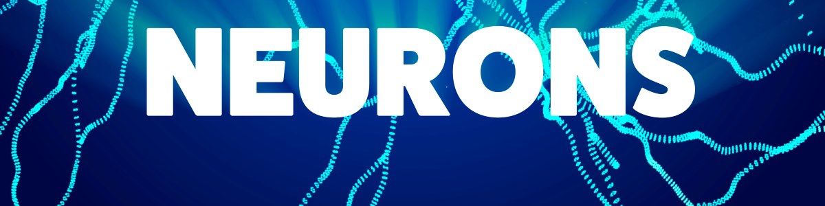 Intelligenza artificiale identifica lesioni cerebrali invisibili