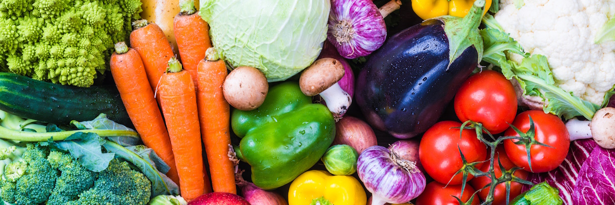 One Health: la salute del microbiota inizia dalla salute delle piante