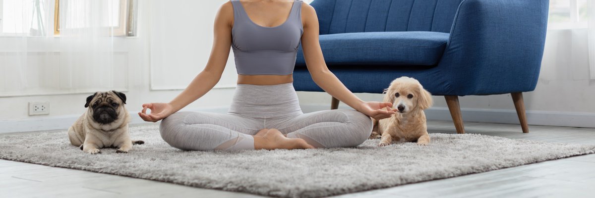  Puppy-yoga-e-realmente-fonte-di-benessere-per-le-persone-e-per-i-cuccioli