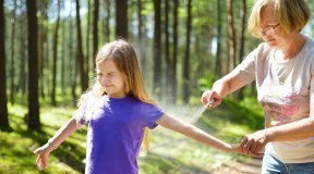 Cambiamento climatico: zecca marginata, in crescita sul Carso triestino