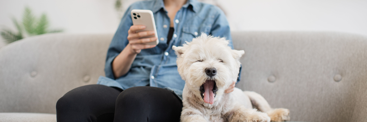 Pet Tech: la nuova frontiera del benessere per i nostri animali