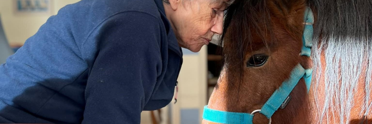 Pet therapy: cavalli e cani per stress e traumi