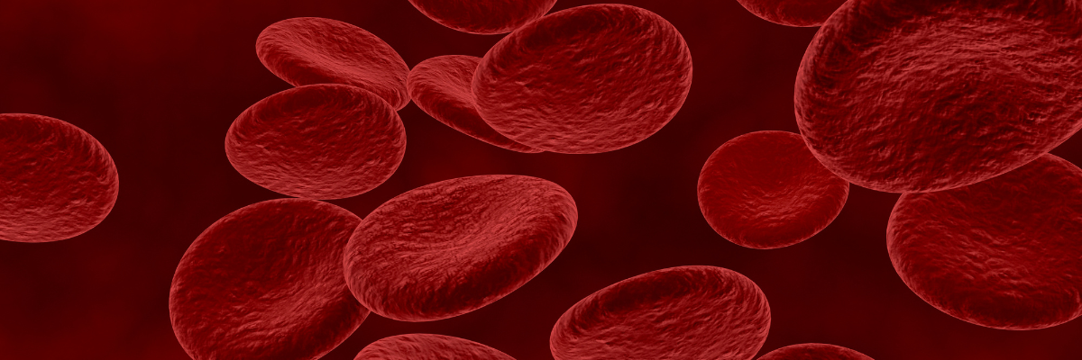 Talassemia, cos'è e come funziona la terapia che elimina le trasfusioni