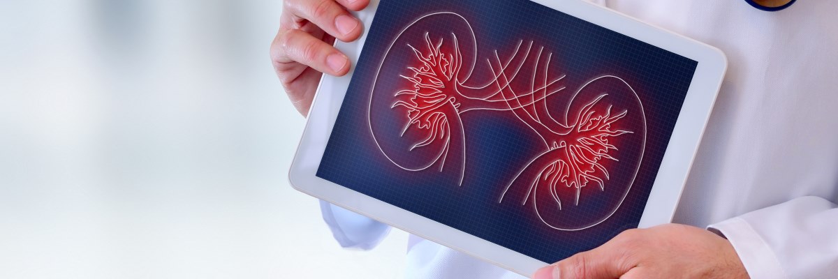 Carcinoma renale: nove domande per conoscerlo