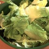 insalata