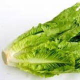 carciofi, piselli e fave