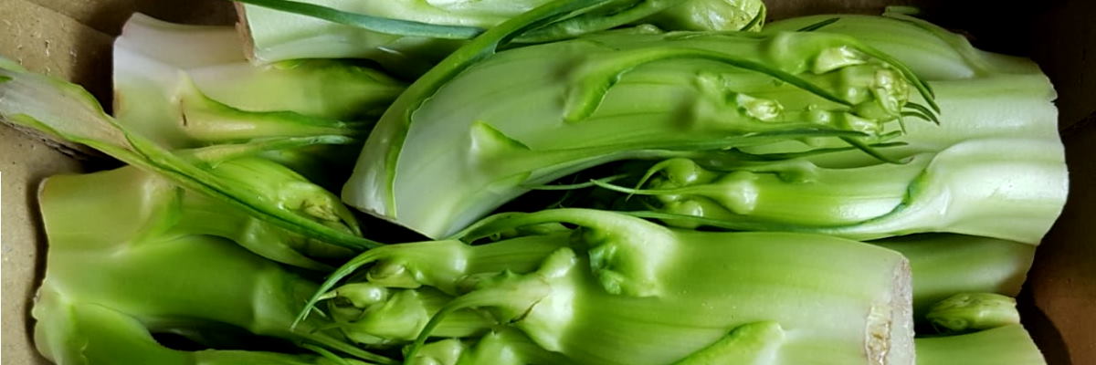 Puntarelle con acciughe