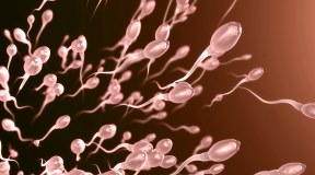 Infertilità maschile: cause, diagnosi e trattamenti